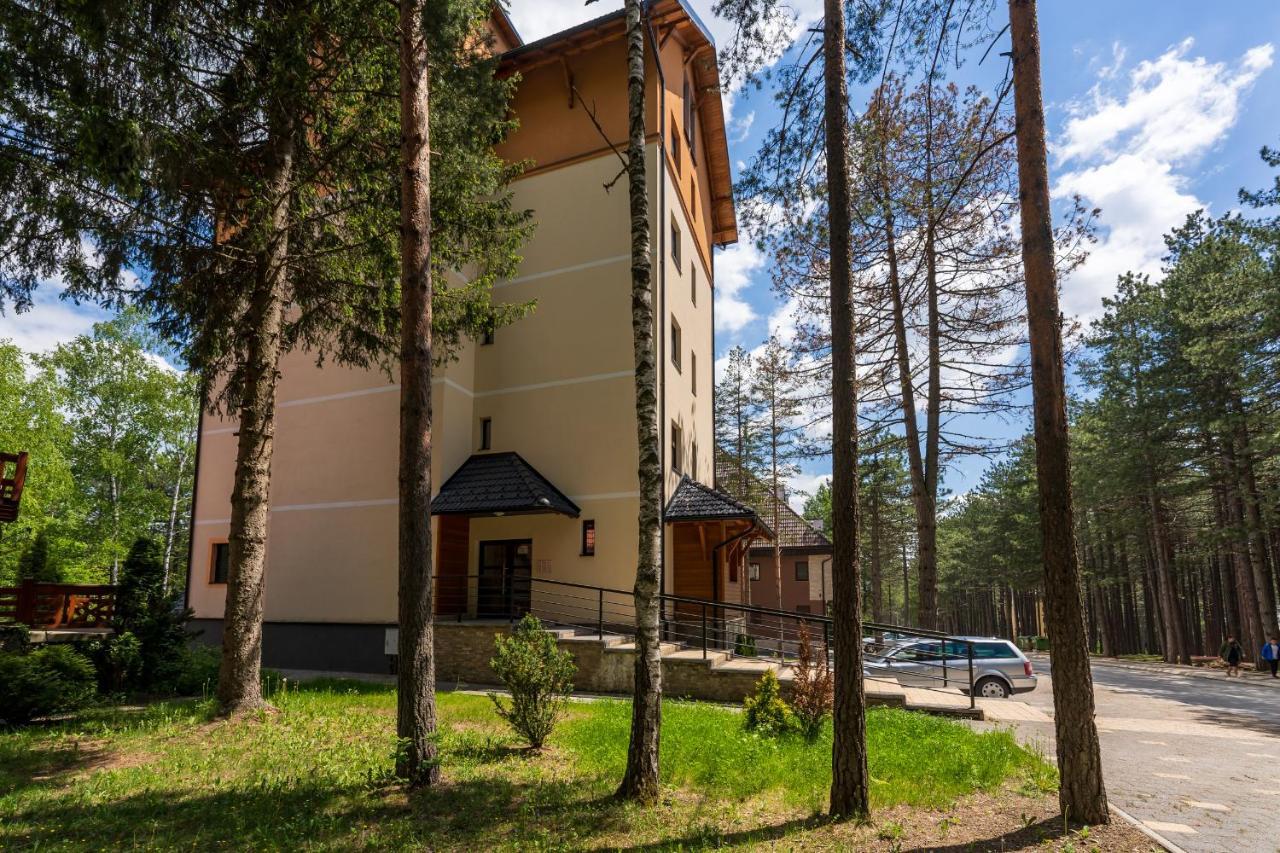 Apartment Jevtic *